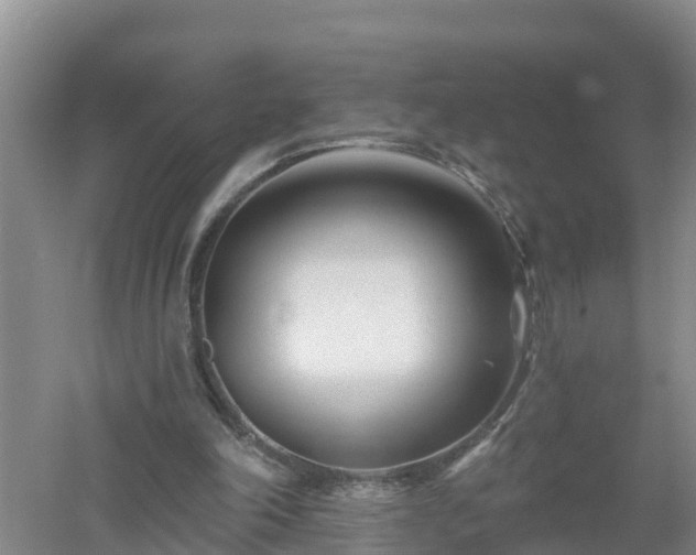 X0000053020198200507152023