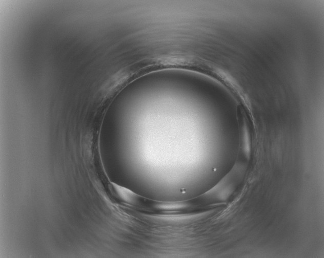 X0000053020201200507152023