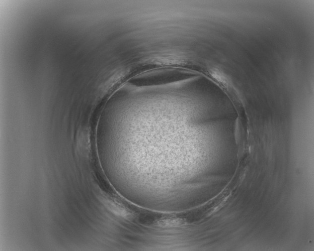 X0000053020202200507152023