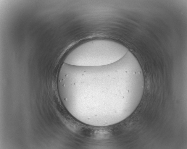 X0000053020208200507152022