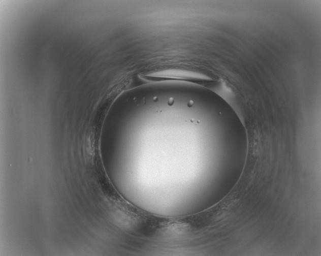 X0000053020210200507152022