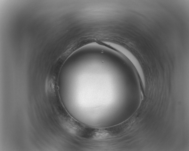 X0000053020214200507152022