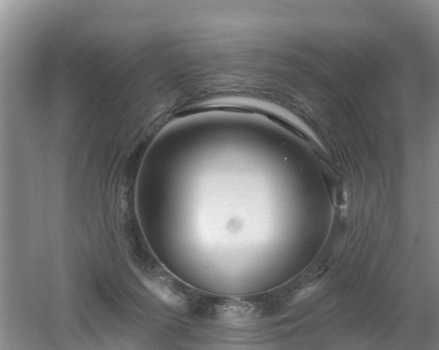 X0000053020215200507152022