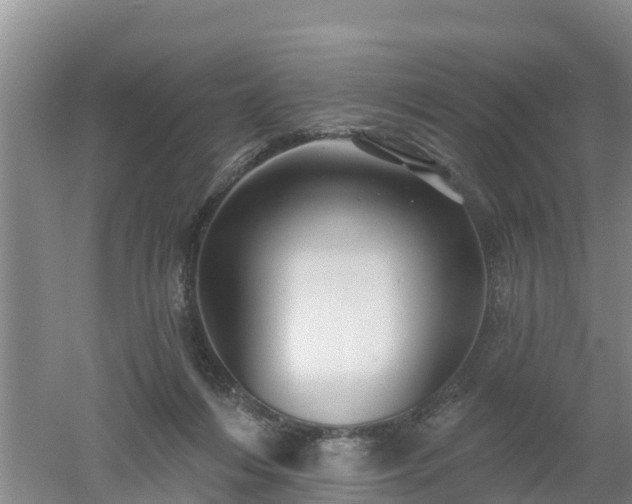 X0000053020216200507152022