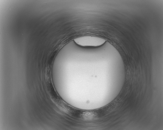 X0000053020218200507152022