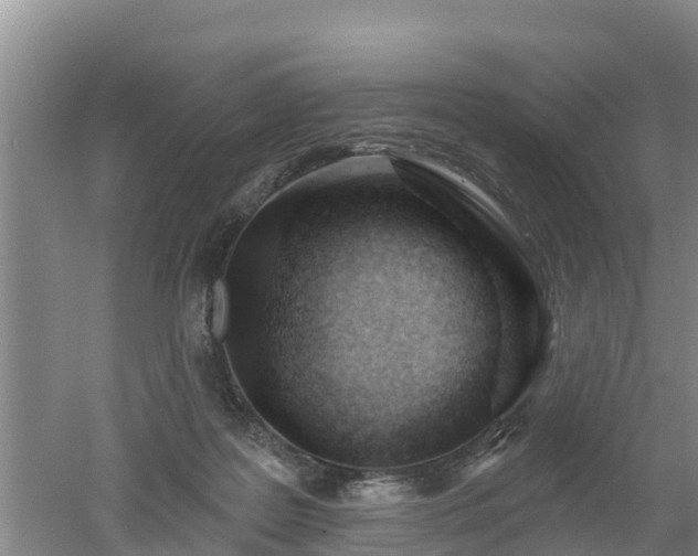 X0000053020219200507152022