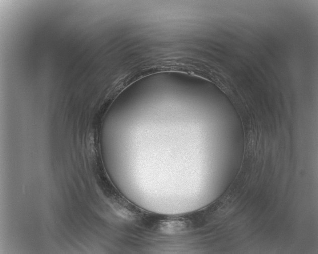 X0000053020220200507152022