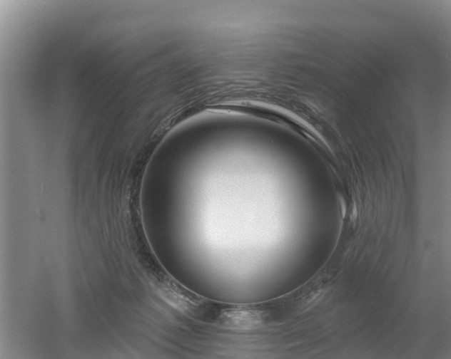 X0000053020221200507152022