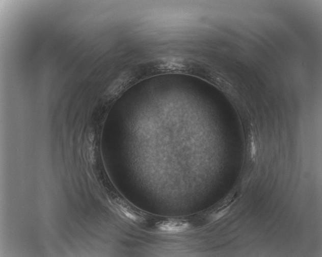 X0000053020223200507152022