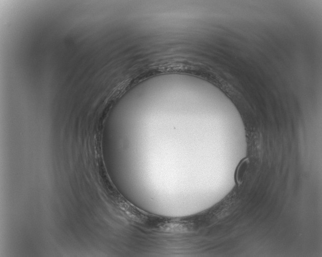 X0000053020224200507152022