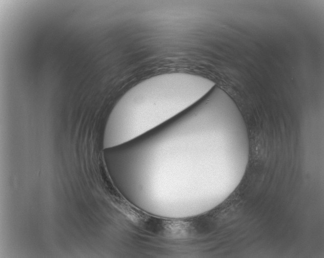 X0000053020226200507152022