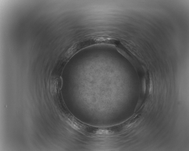 X0000053020227200507152022