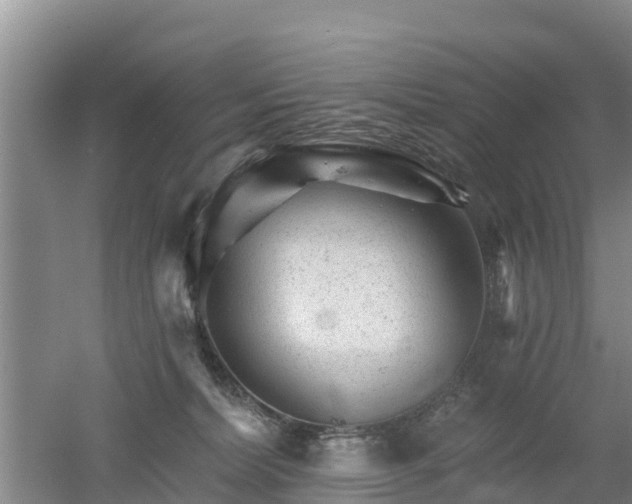 X0000053020228200507152022