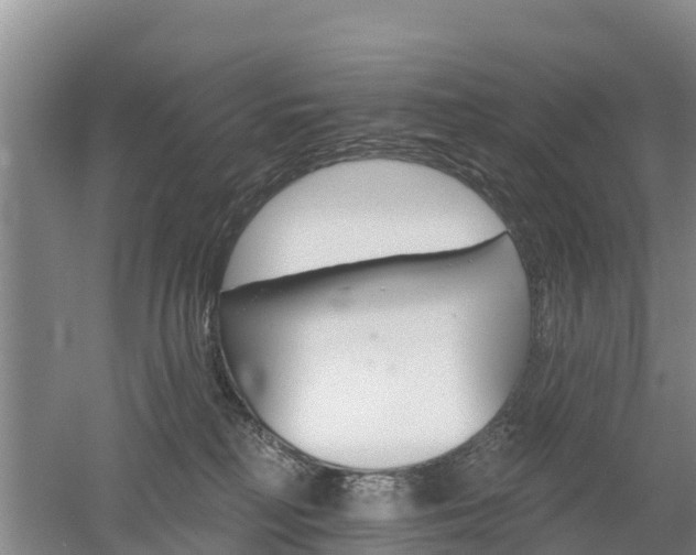 X0000053020230200507152022