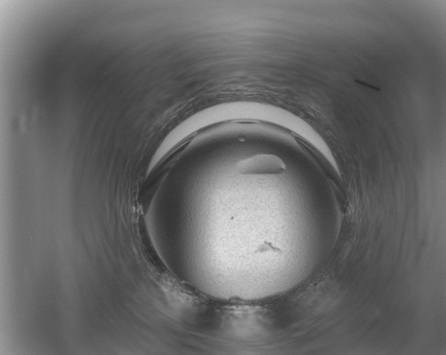 X0000053020233200507152022