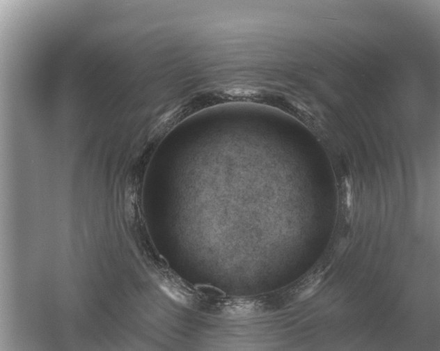 X0000053020235200507152022