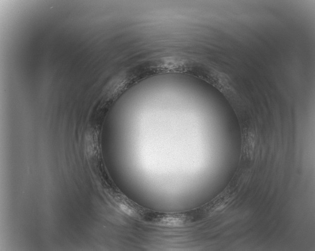 X0000053020236200507152022