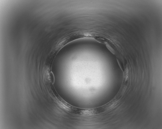 X0000053020238200507152022