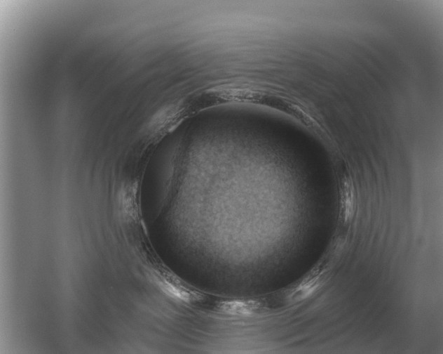 X0000053020239200507152022