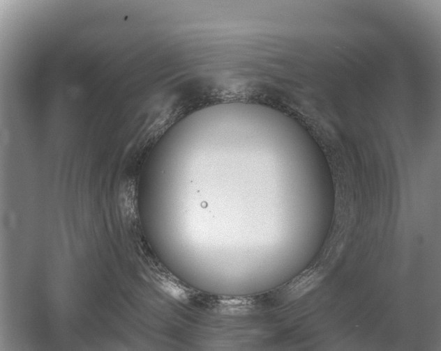 X0000053020240200507152022