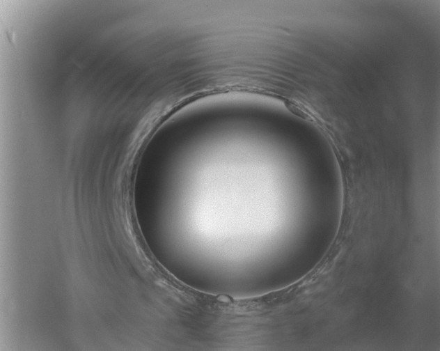 X0000053020241200507152021