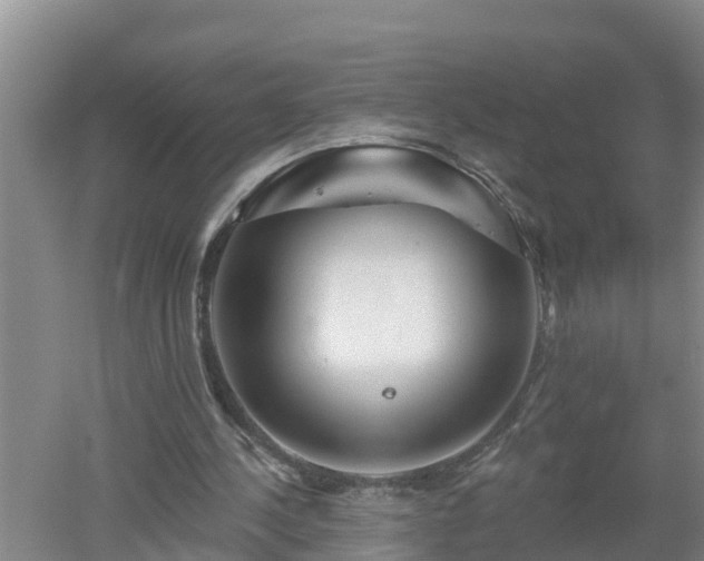 X0000053020244200507152021