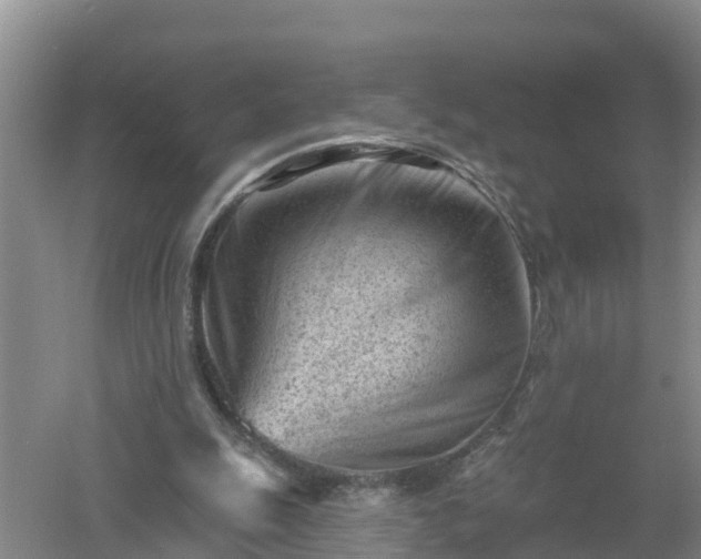 X0000053020247200507152021