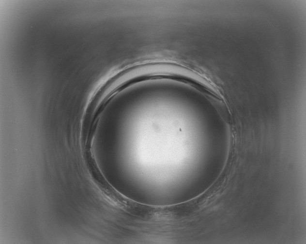 X0000053020248200507152021