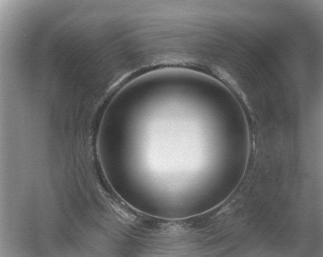 X0000053020249200507152021