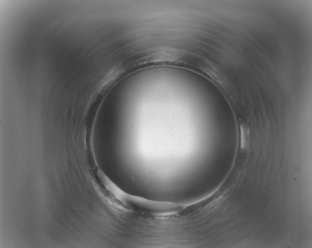 X0000053020253200507152021