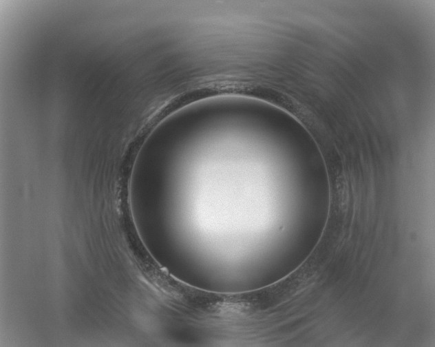 X0000053020255200507152021