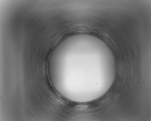 X0000053020266200507152022