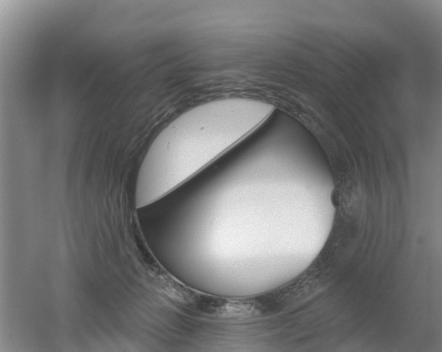 X0000053020270200507152022