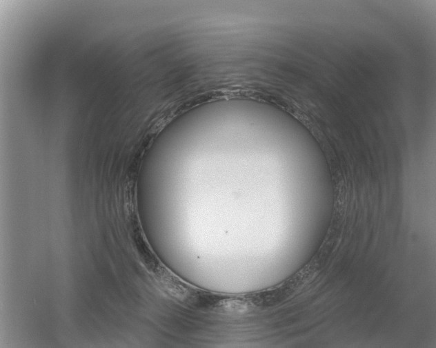 X0000053020272200507152022