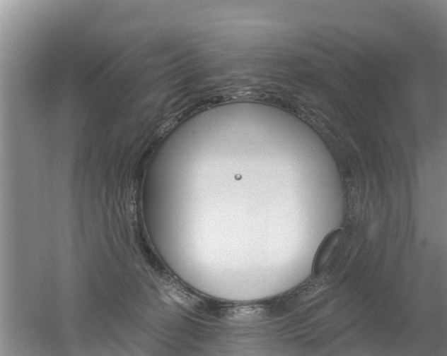 X0000053020274200507152022