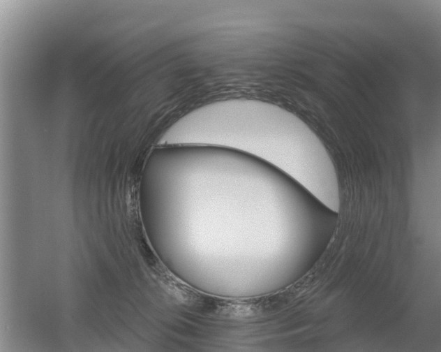 X0000053020276200507152022