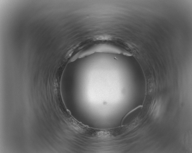 X0000053020279200507152022