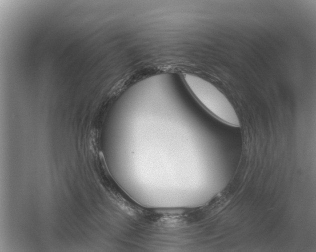 X0000053020280200507152022