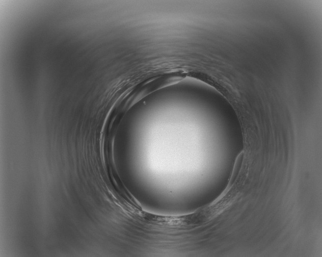 X0000053020288200507152022