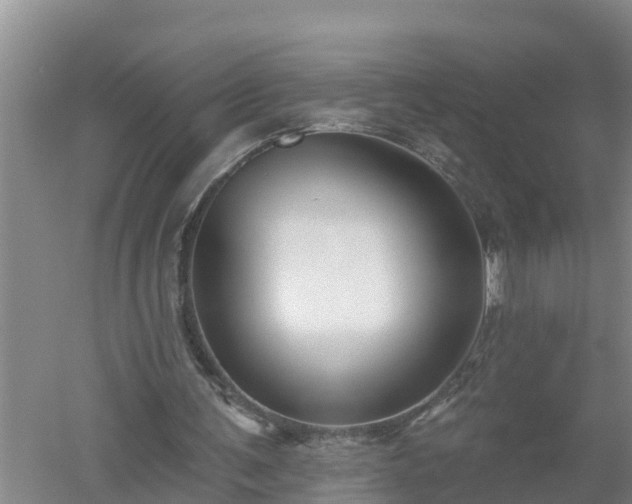 X0000053020291200507152021