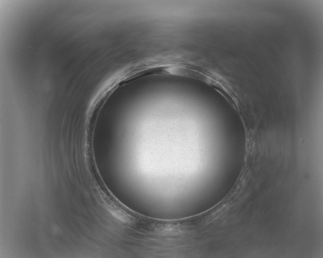 X0000053020293200507152021