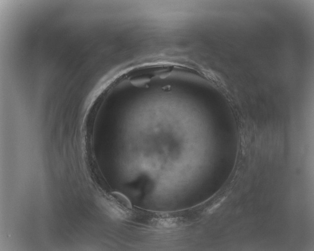 X0000053020295200507152021