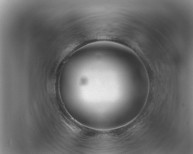 X0000053020299200507152021