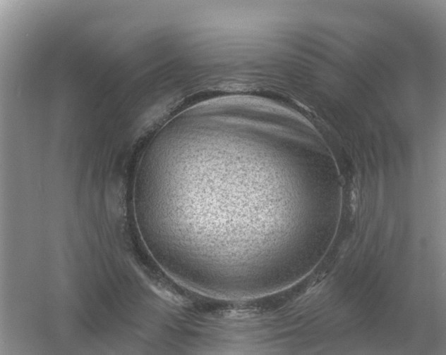 X0000053020303200507152021