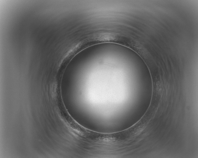 X0000053020304200507152021