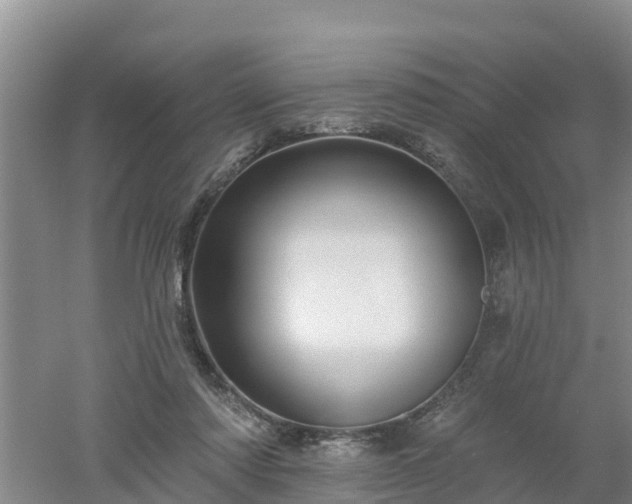 X0000053020310200507152021