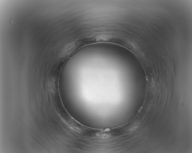 X0000053020311200507152021