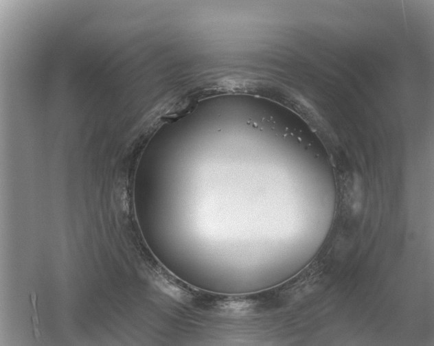 X0000053020313200507152021