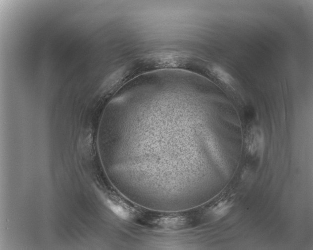 X0000053020314200507152021