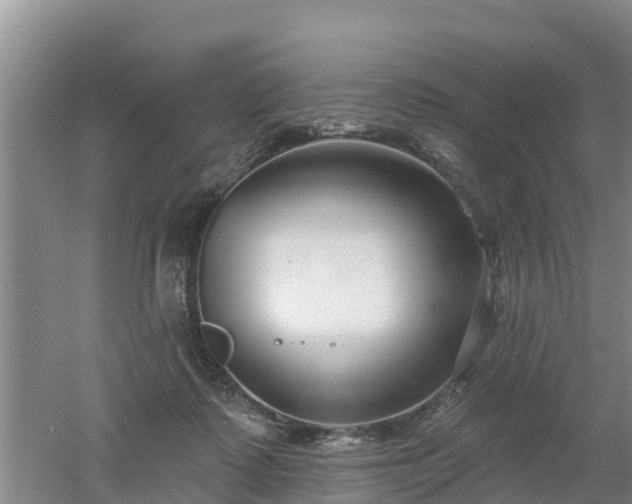 X0000053020315200507152021